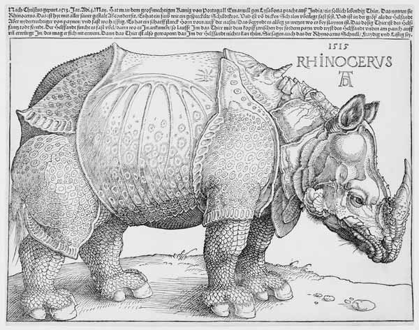 The Rhinoceros van Albrecht Dürer