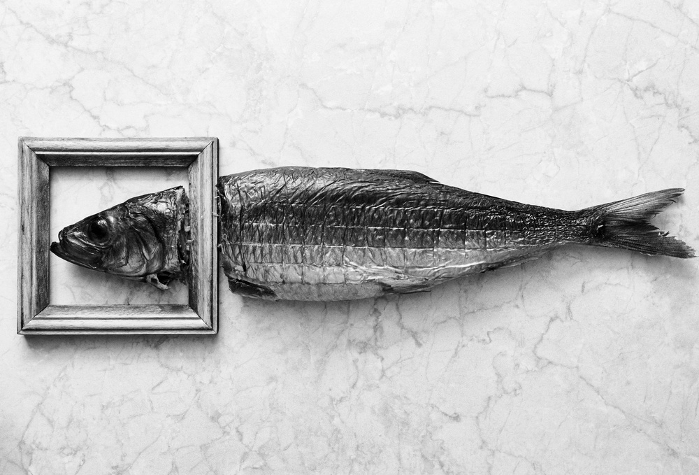Fish portrait van Aleksandrova Karina
