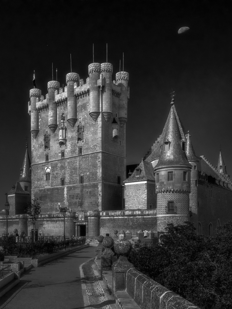 Castle van Alex Lu