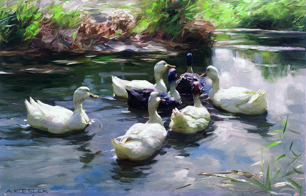 Ducks in a Pond van Alexander Koester