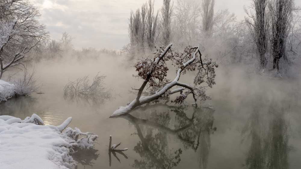 Fog over the water van Alexander Plekhanov