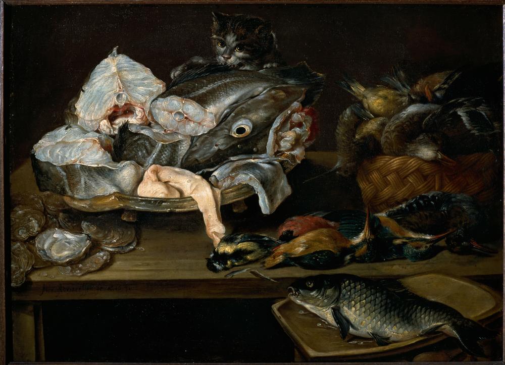 STill Life with Fishes, Seafood, Poultry and Cat van Alexander van Adriaenssen