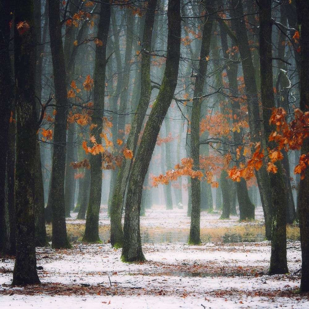 Autumn in my soul van Alexandra Fira