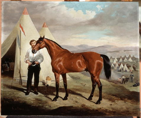 Sir Briggs, horse of Lord Tredegar (1831-1913) of the 17th Lancers, in Camp in Crimea 1854, 1856 (oi van Alfred de Prades