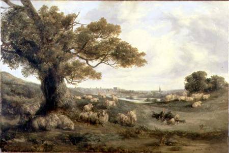 View of Norwich van Alfred Priest