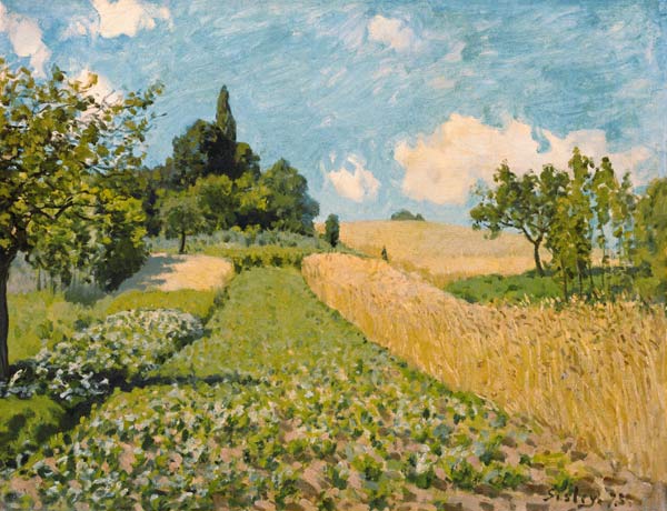 Sommerlandschaft (Kornfeld bei Argenteuil) van Alfred Sisley