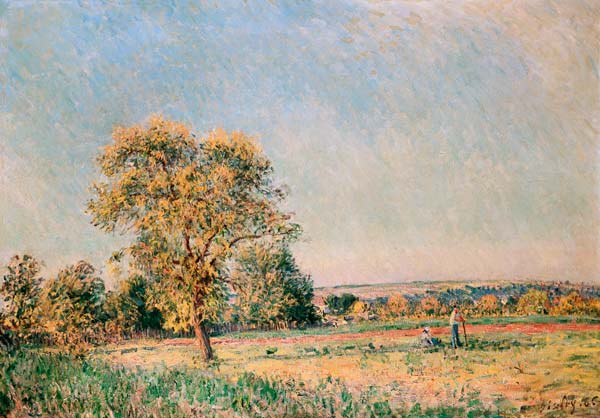 Sommerlandschaft mit großem Baum. van Alfred Sisley