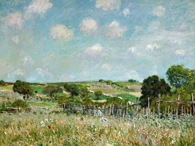 The Meadow. van Alfred Sisley
