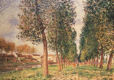 The Poplar Avenue at Moret, Cloudy Day, Morning van Alfred Sisley