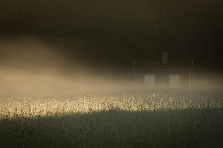 Cottage in the fog