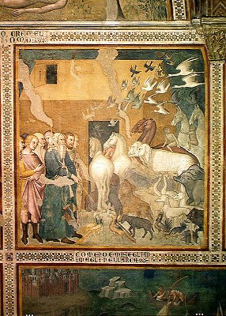 Noah Leading the Animals into the Ark van also Manfredi de Battilori Bartolo di Fredi