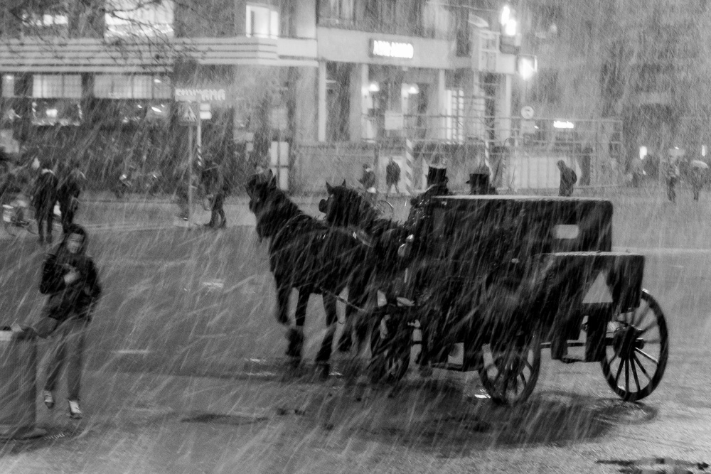 Carriage in winter storm van Alwin Koops