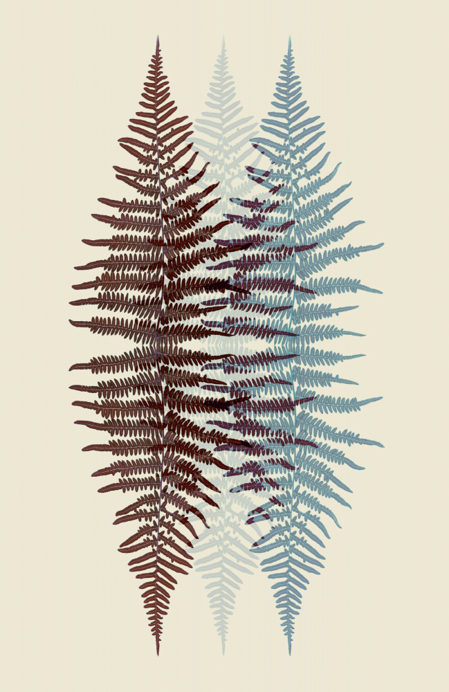 Chocolate and Teal Fern van Alyson Fennell