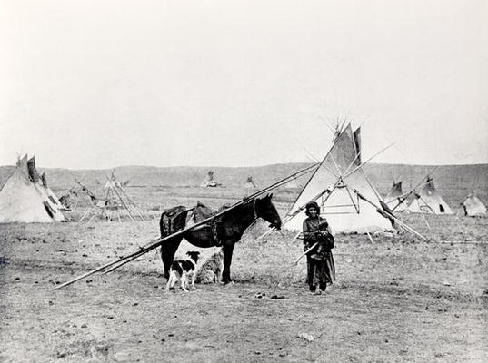 Comanche Indian (b/w photo) van American Photographer, (19th century)