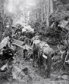 Climbing the Dyea Trail on the way to the Chilkoot Pass during the Klondike Gold Rush (1897-98) (b/w