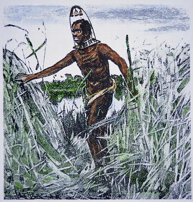 Runaway slave (coloured engraving) van American School