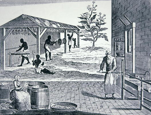 The cultivation of tobacco in Colonial America (engraving) van American School