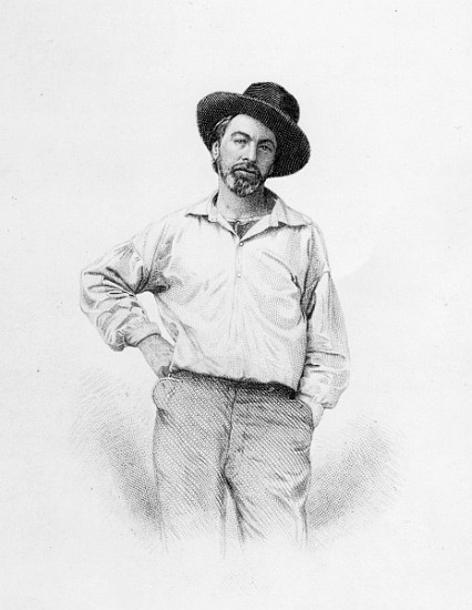 Walt Whitman, frontispiece to ''Leaves of Grass'' van American School