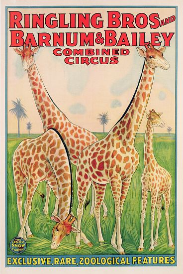 Poster advertising Ringling Bros and Barnum & Bailey Combined Circus van American School, (20th century)