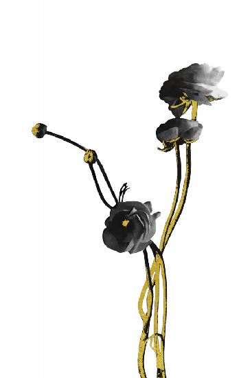 Flower Minimal Black and Gold 04