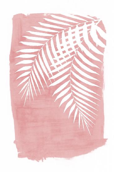 Pink Palm Leaves Foliage Silhouette
