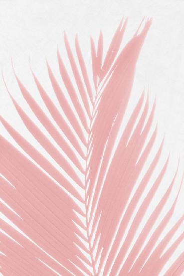 Pink Palm Leaves Silhouette
