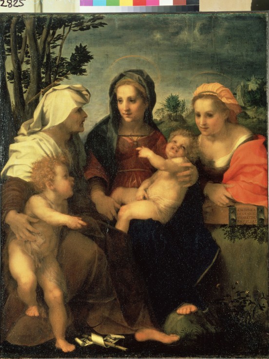 Virgin and Child with Saints Catherine, Elisabeth and John the Baptist van Andrea del Sarto