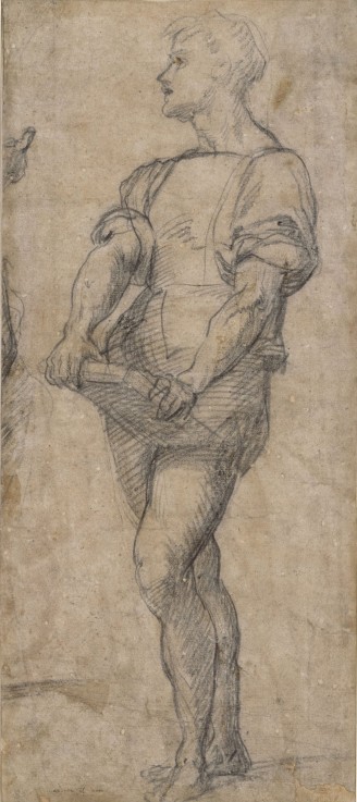 Standing youth holding a book van Andrea del Sarto