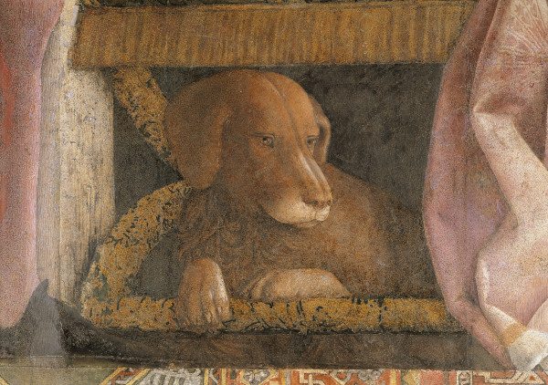 Camera d.Sposi, Dog van Andrea Mantegna