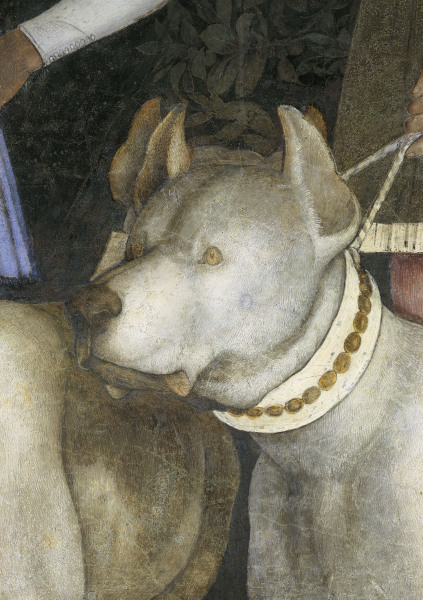 Camera d.Sposi, Dog van Andrea Mantegna