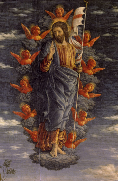 The Ascension van Andrea Mantegna