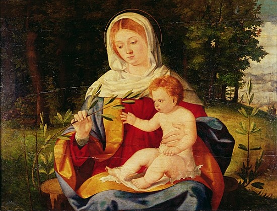 The Virgin and Child with a shoot of Olive, c.1515 van Andrea Previtali