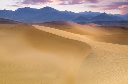 Mesquite flat sand dunes