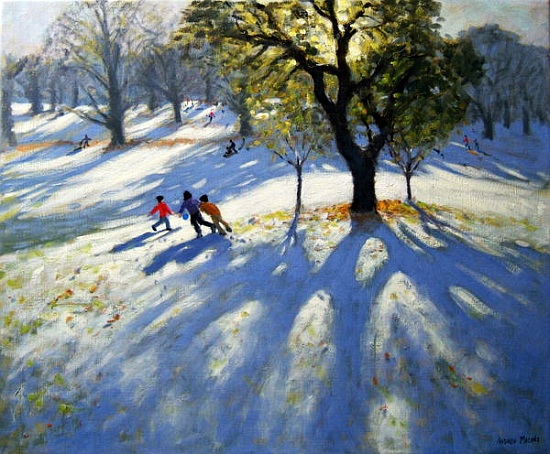 Markeaton Park, early snow van Andrew  Macara