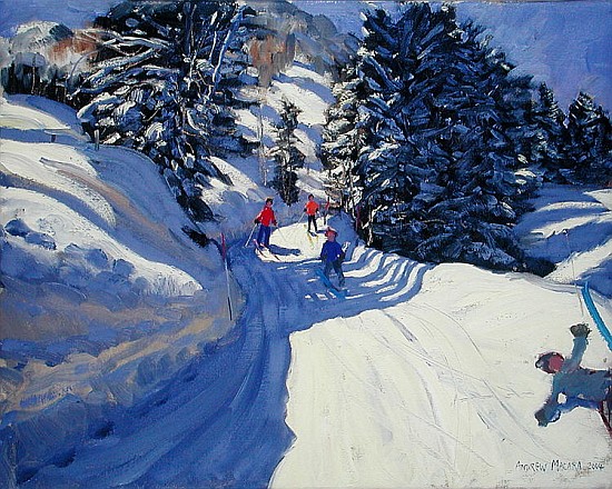 Ski Trail, Lofer, 2004 (oil on canvas)  van Andrew  Macara