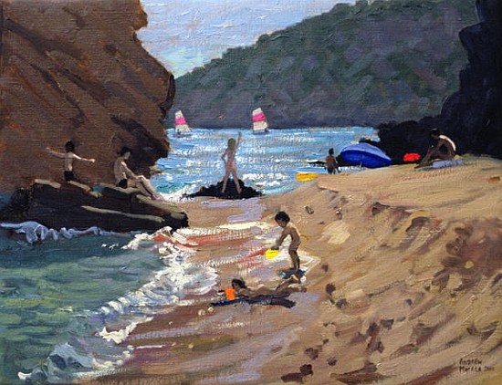 Summer in Spain, 2000 (oil on canvas)  van Andrew  Macara