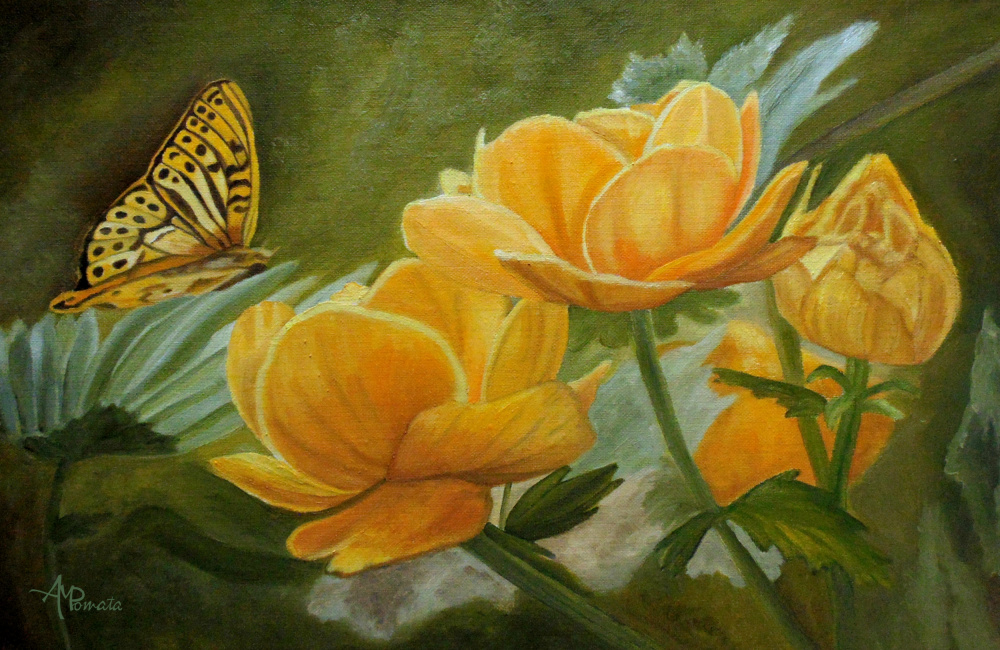 Butterfly Among Yellow Flowers van Angeles M. Pomata