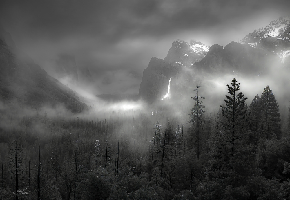 Foggy Yosemite Valley van ANNA AN