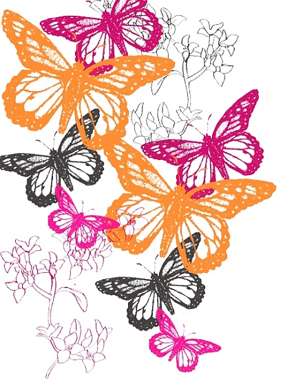 Butterfly van  Anna  Platts