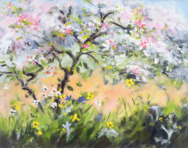 Spring Blossom (oil on canvas)  van Anne  Durham