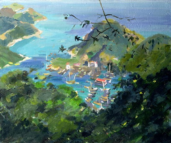 View of Aberdeen from the Peak, Hong Kong (oil on canvas)  van Anne  Durham