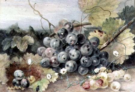 Grapes and Strawberries van Anne Frances Byrne