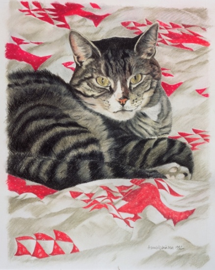 Cat on quilt van Anne  Robinson