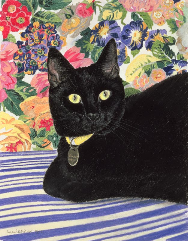 Black Cat (pastel on paper)  van Anne  Robinson