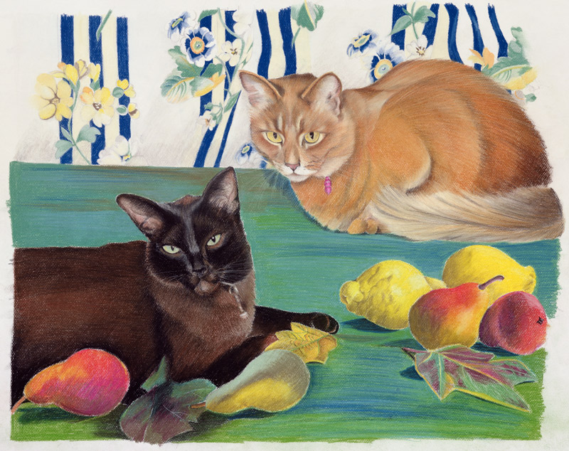 Cats with fruit van Anne  Robinson