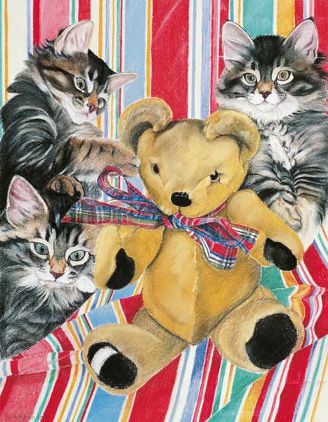Kittens and teddy van Anne  Robinson
