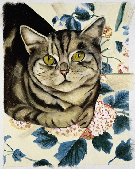Tabby cat van Anne  Robinson