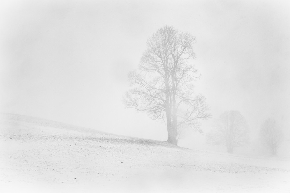 Misty winter in the Allgau van Annie Keizer