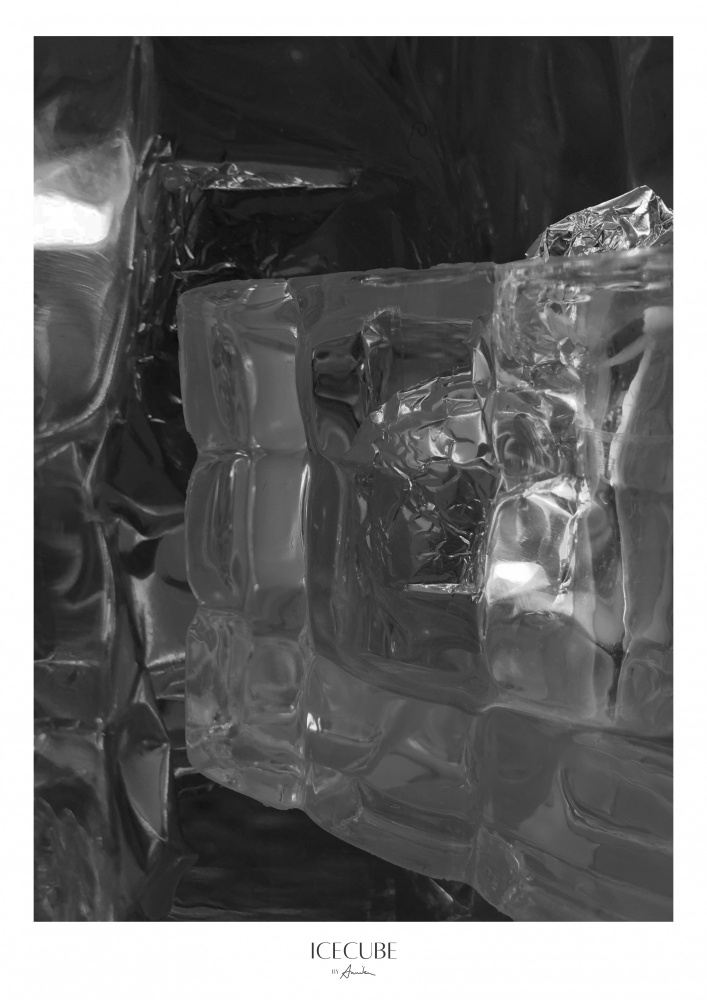 Icecube van Annika John
