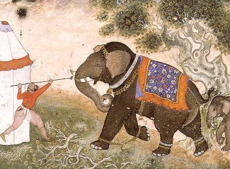 52.43 An enraged elephant, Mughal van Anoniem